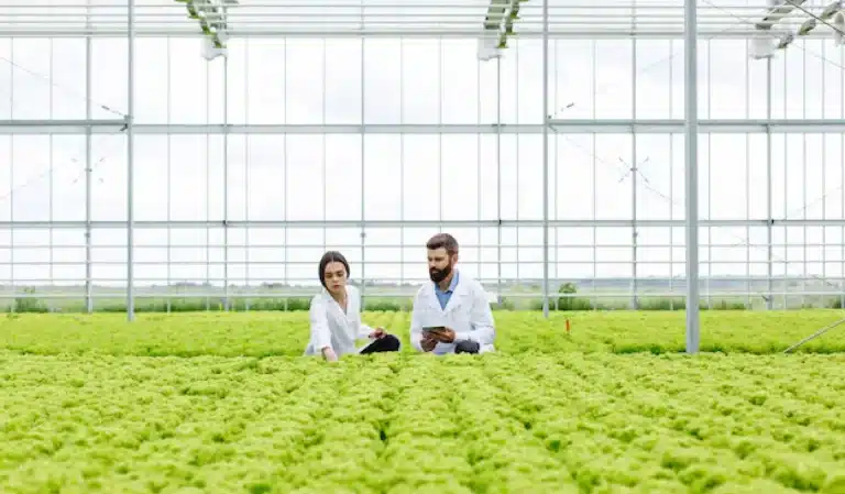 image représentant la formation certibiocide autres produits