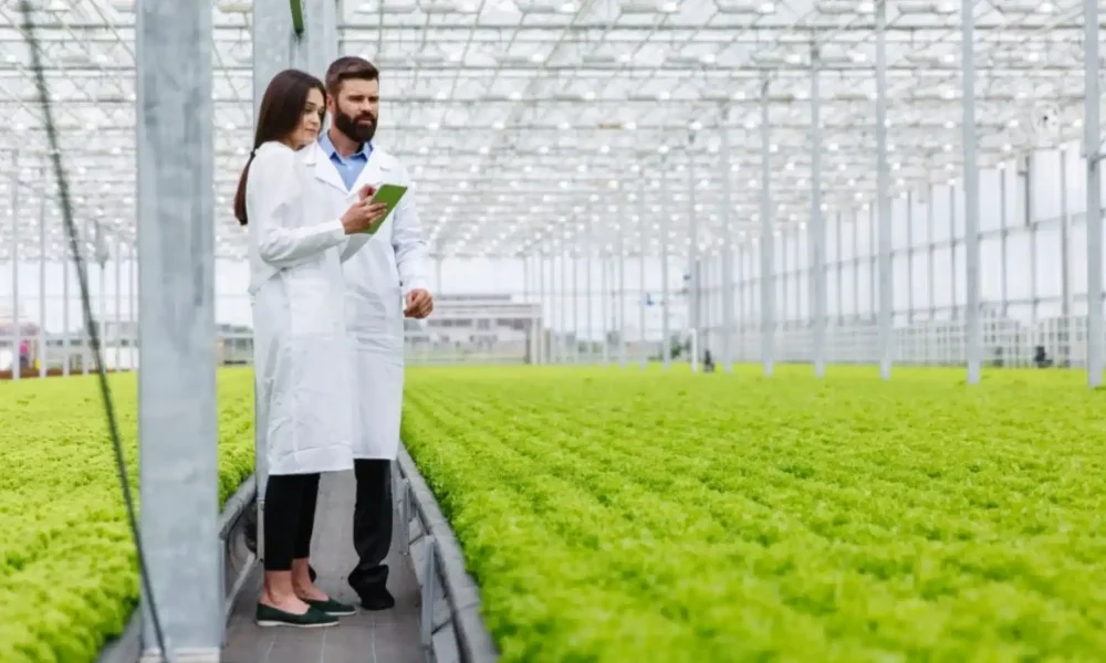 image représentant la formation certibiocide désinfectant